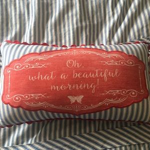 Pioneer Woman throw pillow